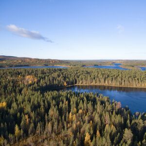 Flygfoto av en skog med flera sjöar under en klarblå himmel.
